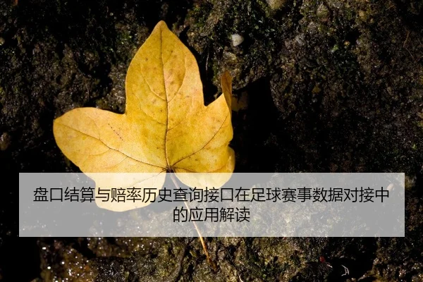 盘口结算与赔率历史查询接口在足球赛事数据对接中的应用解读